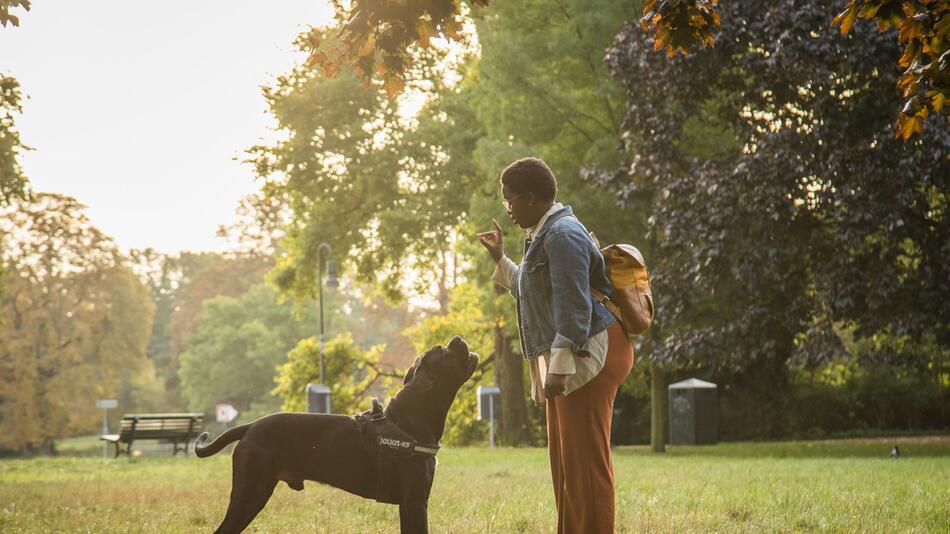Eine Frau ist mit ihrem Hund im Park