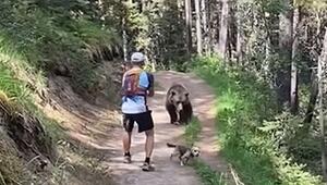 Angst im Wald: Schwarzbär verfolgt Wanderpaar in Kanada