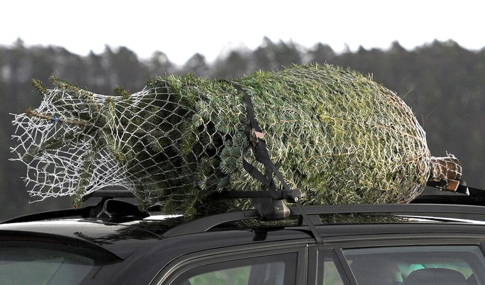 Weihnachtsbaum mit Spanngurten auf einem Autodach gesichert