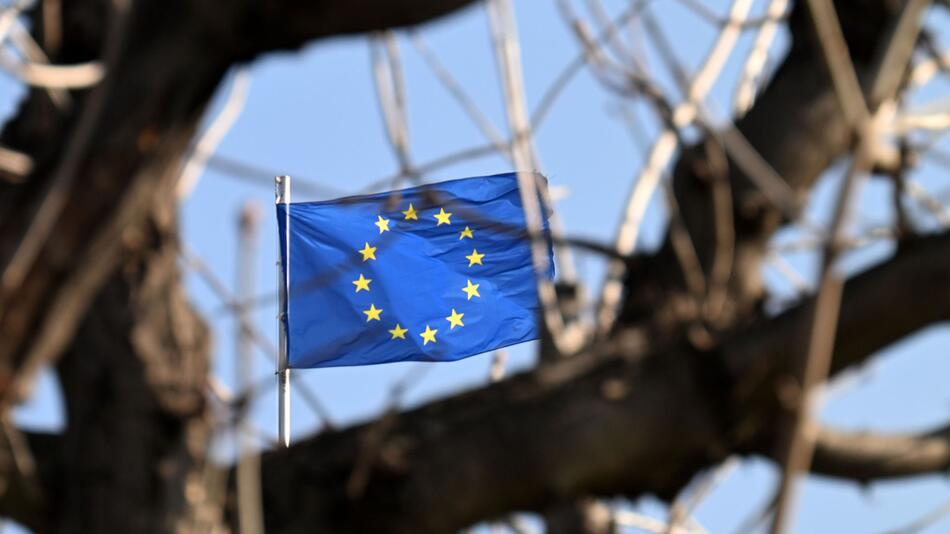 Österreich ist einer von neun Nettozahlern der EU
