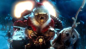 Ein zweiter Teil von "Der Grinch" befindet sich in Entwicklung.