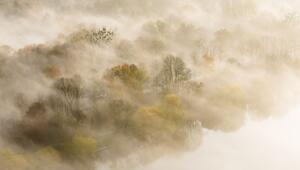 Nebelfelder liegen zwischen Bäumen am Maschsee