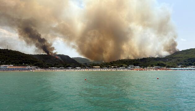 Ein Wald nahe Peschici steht in Flammen