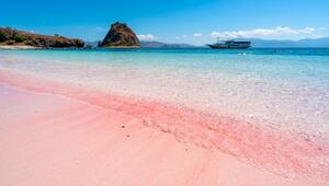 Pink beach Komodo islands in Indonesia