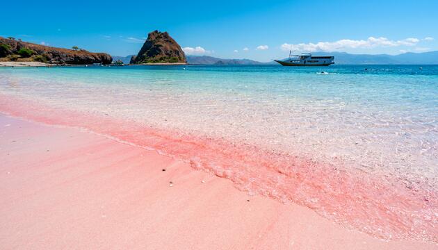 Pink beach Komodo islands in Indonesia