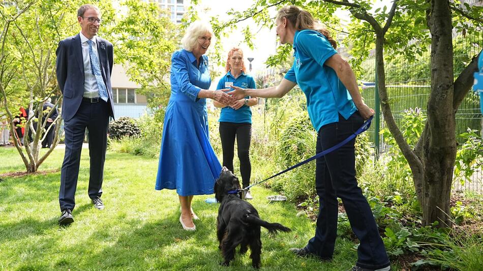 Königin Camilla gilt als große Hundefreundin.
