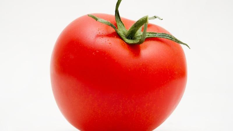 Tomate