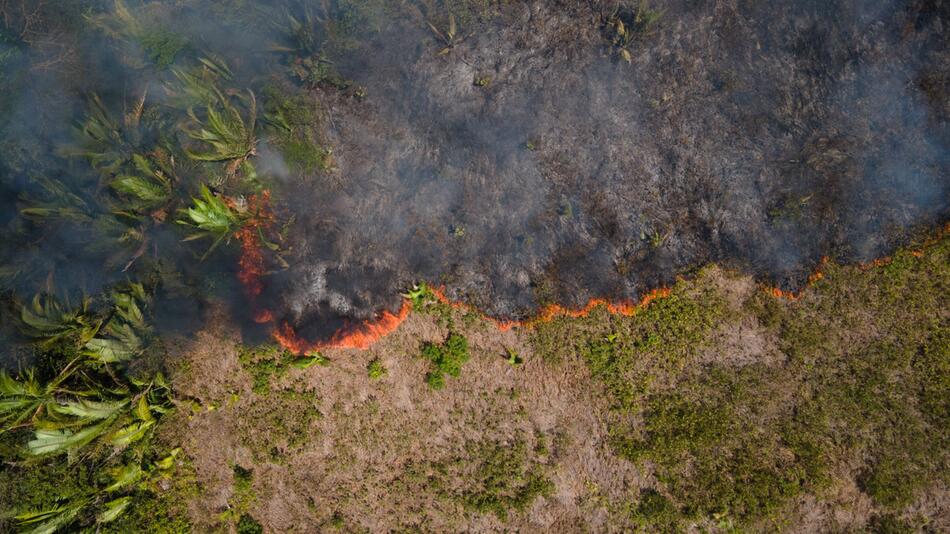 Feuer im Amazonas-Gebiet
