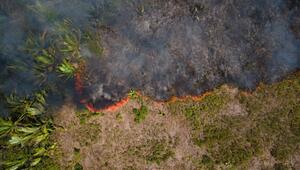 Feuer im Amazonas-Gebiet
