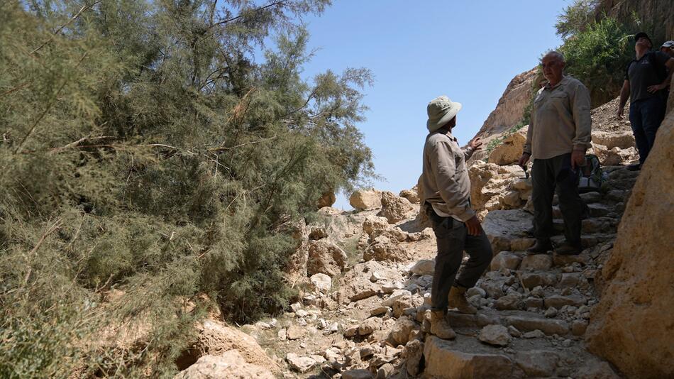 Inspektoren im Ein-Gedi-Naturschutzgebiet