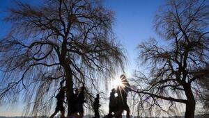 Wetter in Hamburg