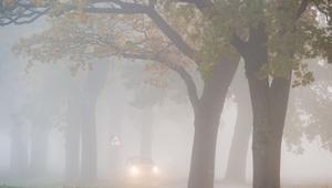 Auto fährt bei Nebel auf einer Landstraße