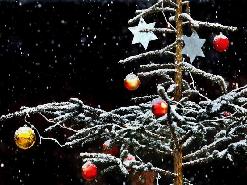 Geschmückter Christbaum im Schnee