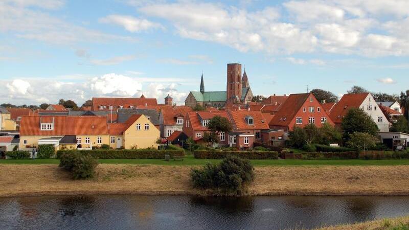 Ribe in Dänemark