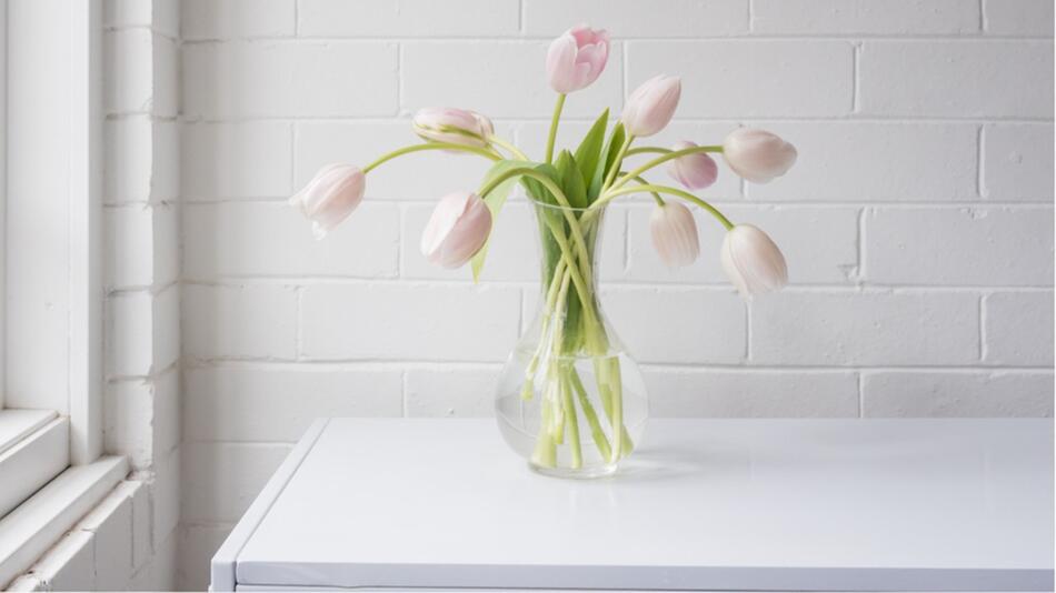 Mit diesen Tricks halten sich Tulpen länger.