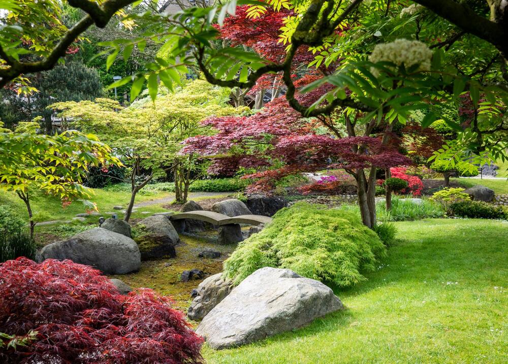 Tempelpark beim Ekō-Haus der Japanischen Kultur