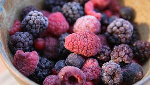 Noroviren-Rückruf: TK-Beeren bei Lidl, Aldi und Netto betroffen
