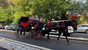 REUPLOAD! New York schafft die Kutschen im Central Park bis 2028 ab