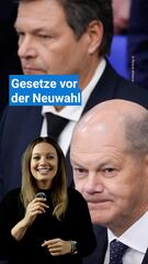 Gesetze vor der Neuwahl