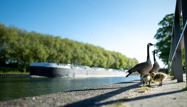 Wetter in Nordrhein-Westfalen