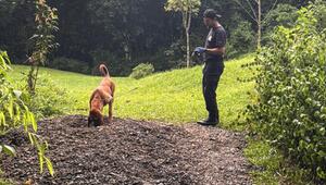 Die Leichen des Paares wurden auf dem Grundstück entdeckt