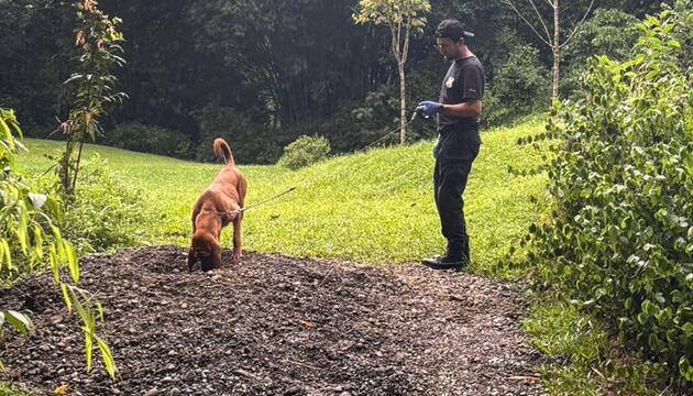 Die Leichen des Paares wurden auf dem Grundstück entdeckt
