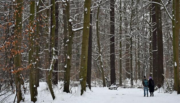 Winterwetter in Deutschland - Hannover