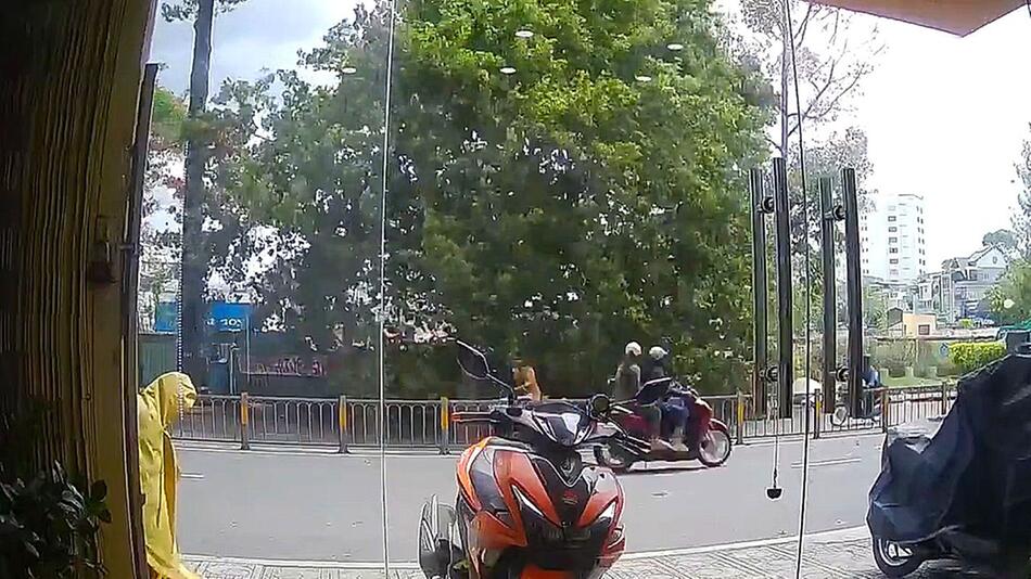 Baum stürzt auf Rollerfahrer – Sturm sorgt für Schockmoment in Vietnam
