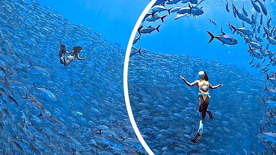 Schwerelose Szenen unter Wasser: Tausende Fische rotieren um Taucherin