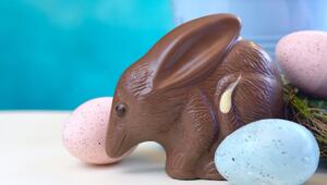 In Australien stiehlt der Bilby dem Osterhasen die Show.