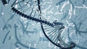 Gebrochener DNA-Strang (Rendering)
