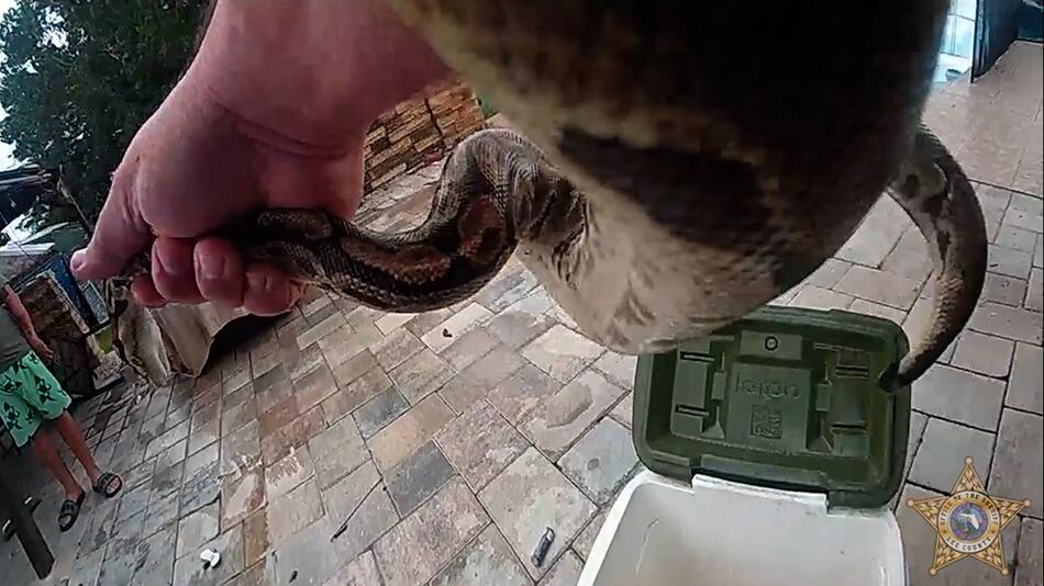 Python auf dem Pooldeck – Einsatz des Lee County Sheriff