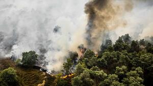 Brand im niederländischen Naturschutzgebiet De Rosmolen