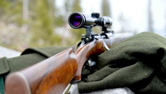 Der Jäger meinte, einen Fuchs zu erkennen