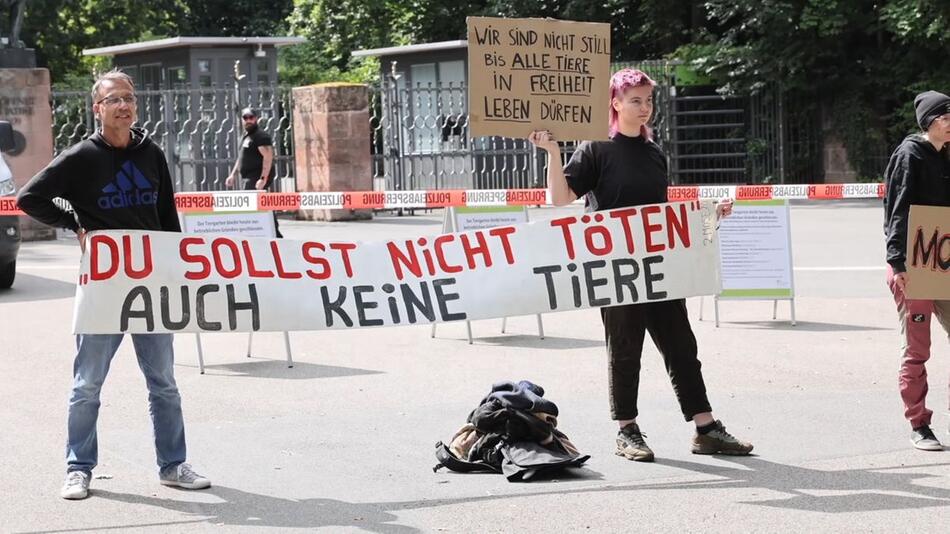 Todesurteil für Paviane? Tiergarten schließt für einen Tag
