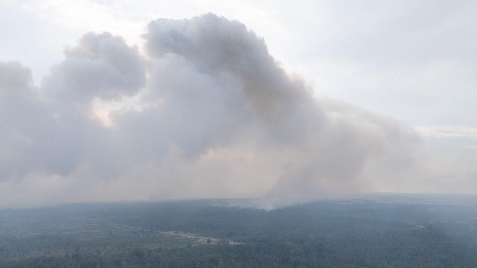 Waldbrand Gohrischheide