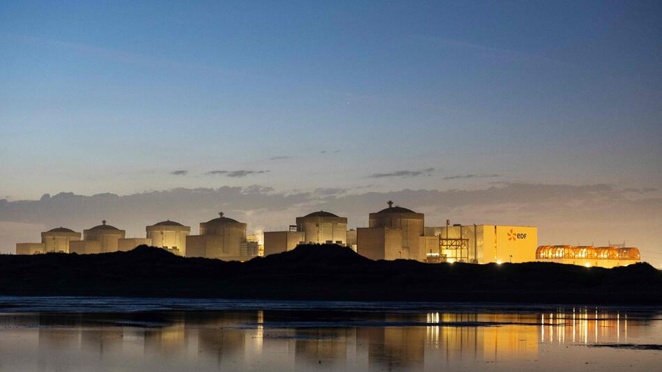 Quallen legen größtes französisches Atomkraftwerk lahm
