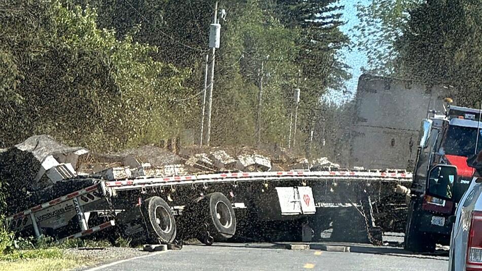 14 Millionen Bienen frei – Lkw mit Bienenstöcken kippt in Washington um