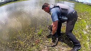Tierischer Einsatz: Beamtin fängt Alligator vor Haustür in Florida ein