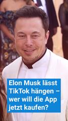 Musk will TikTok nicht kaufen