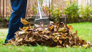 Im Herbst fällt jede Menge Laub an.