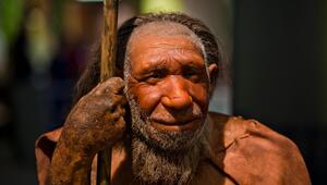 Neandertaler 