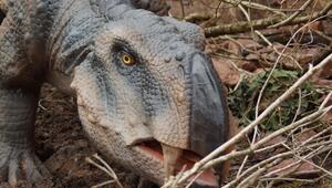 Nachbildung des Lystrosaurus 