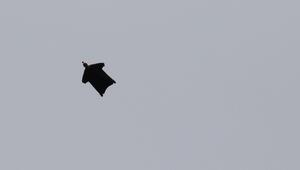 Wingsuit-Springer