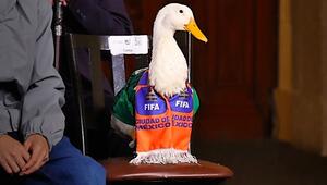 Quak-Karriere: Ente Merlin wird WM-Botschafter von Mexiko-Stadt