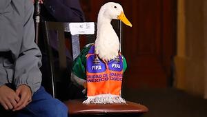 Quak-Karriere: Ente Merlin wird WM-Botschafter von Mexiko-Stadt