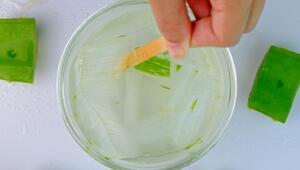 Aloe-vera-Saft: Wundermittel oder überbewertet?
