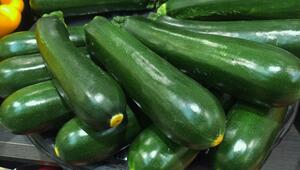 zucchini lagern