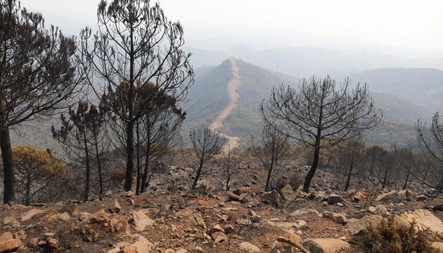 Waldbrand in Spanien