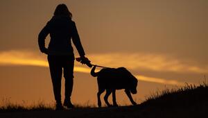 Frau geht am Morgen mit ihrem Hund spazieren